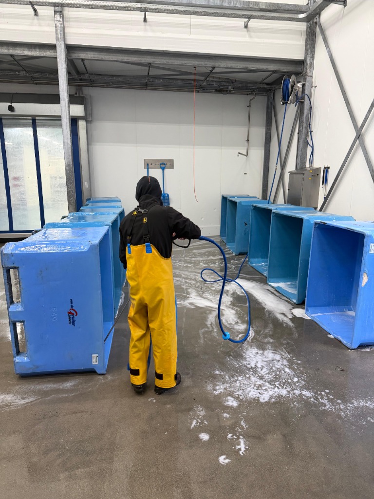 Vis-tubs wassen